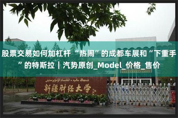 股票交易如何加杠杆 “热闹”的成都车展和“下重手”的特斯拉｜汽势原创_Model_价格_售价