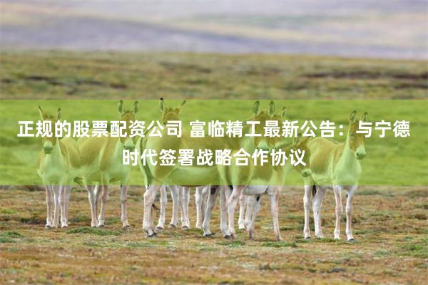 正规的股票配资公司 富临精工最新公告：与宁德时代签署战略合作协议