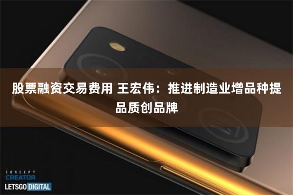 股票融资交易费用 王宏伟：推进制造业增品种提品质创品牌