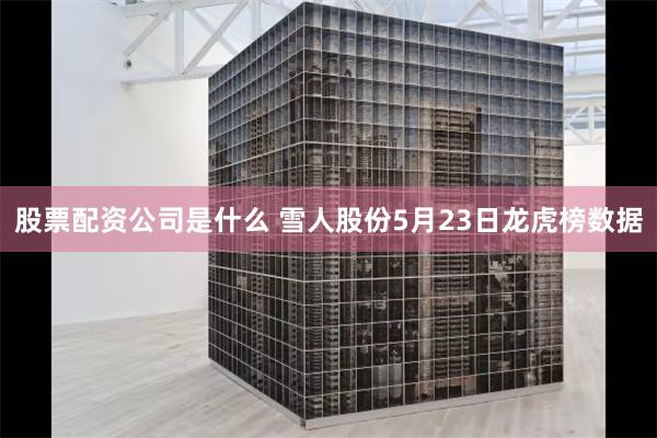 股票配资公司是什么 雪人股份5月23日龙虎榜数据