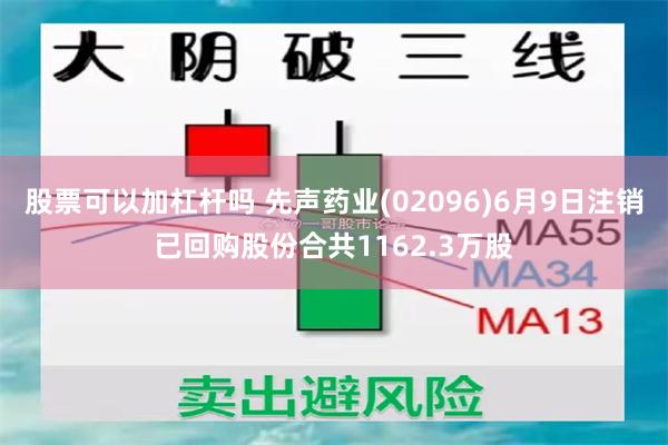 股票可以加杠杆吗 先声药业(02096)6月9日注销已回购股份合共1162.3万股