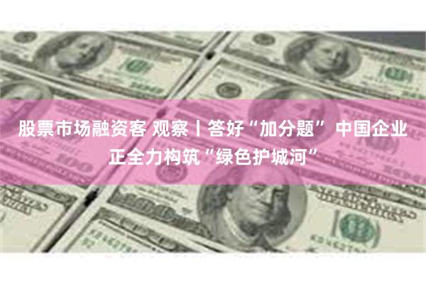 股票市场融资客 观察丨答好“加分题” 中国企业正全力构筑“绿色护城河”