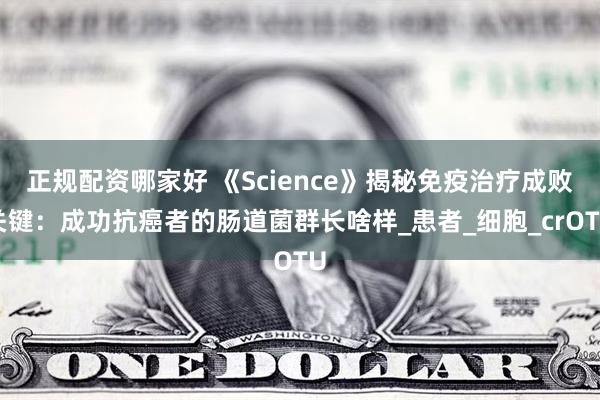 正规配资哪家好 《Science》揭秘免疫治疗成败关键：成功抗癌者的肠道菌群长啥样_患者_细胞_crOTU