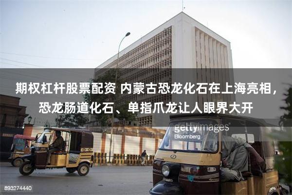 期权杠杆股票配资 内蒙古恐龙化石在上海亮相，恐龙肠道化石、单指爪龙让人眼界大开