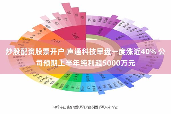 炒股配资股票开户 声通科技早盘一度涨近40% 公司预期上半年纯利超5000万元